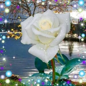 Meet your Posher, Yazmin